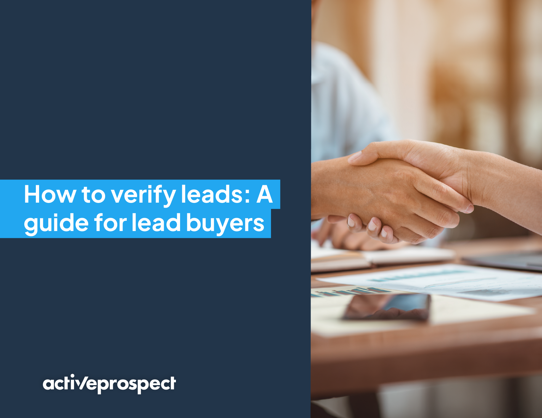 verify leads